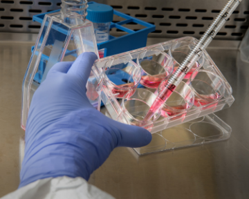 Направление Активные фармацевтические ингредиенты